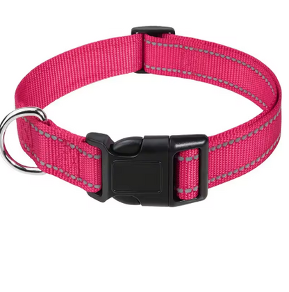 BauPaw™ Reflective Nylon Collar