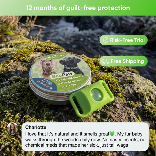 BauPaw™ Pendant – 12 Months of Natural Flea & Tick Protection for Dogs