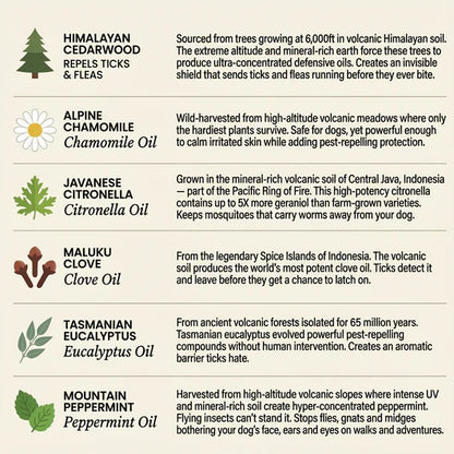 BauPaw™ Pendant – 12 Months of Natural Flea & Tick Protection for Dogs