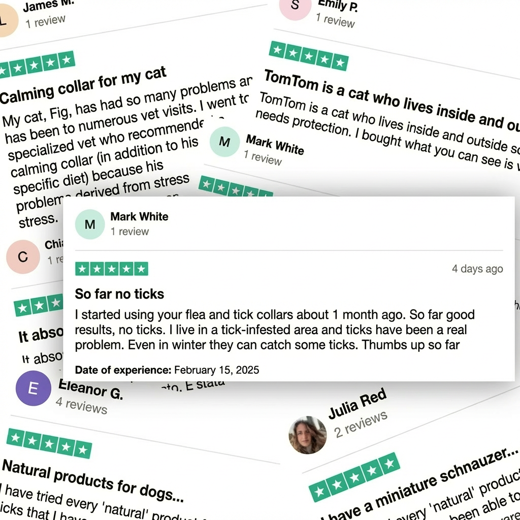 BauPaw™ Pendant – 12 Months of Natural Flea & Tick Protection for Dogs