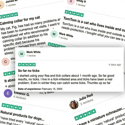 BauPaw™ Pendant – 12 Months of Natural Flea & Tick Protection for Dogs